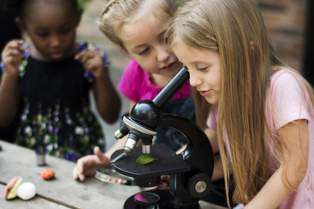 Children taking part in a science festival activity