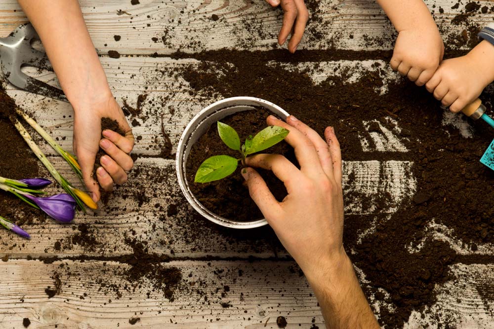 Children potting plants