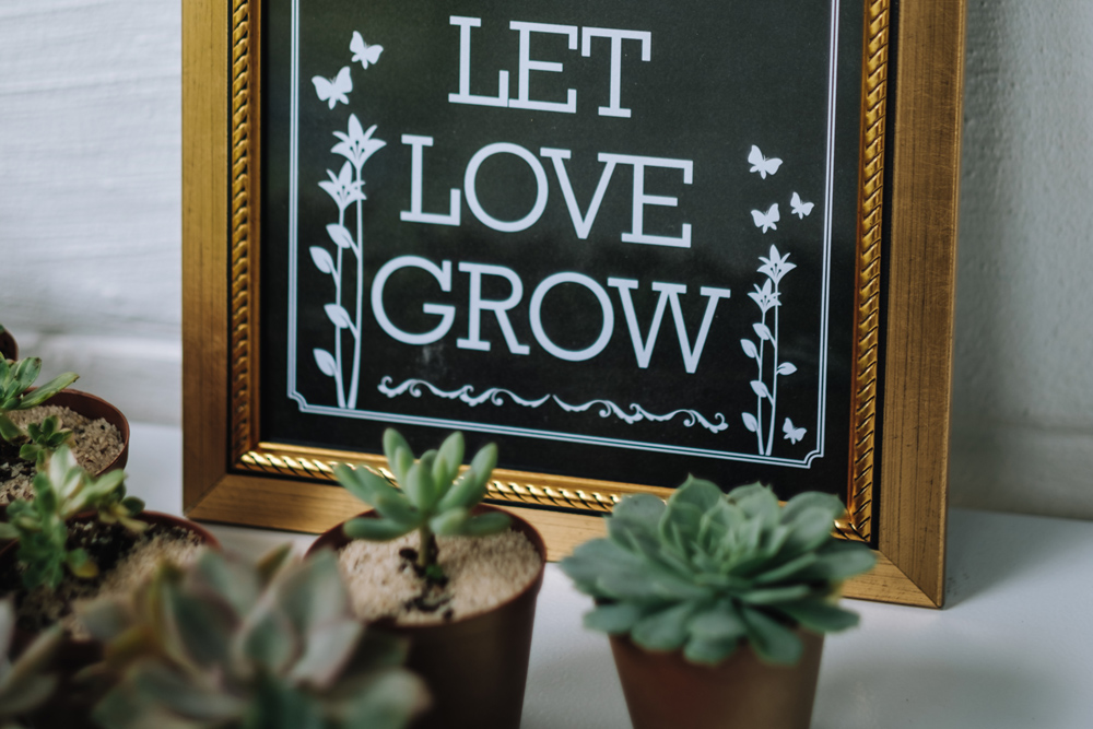 Plants wedding favours next to a sign reading Let Love Grow
