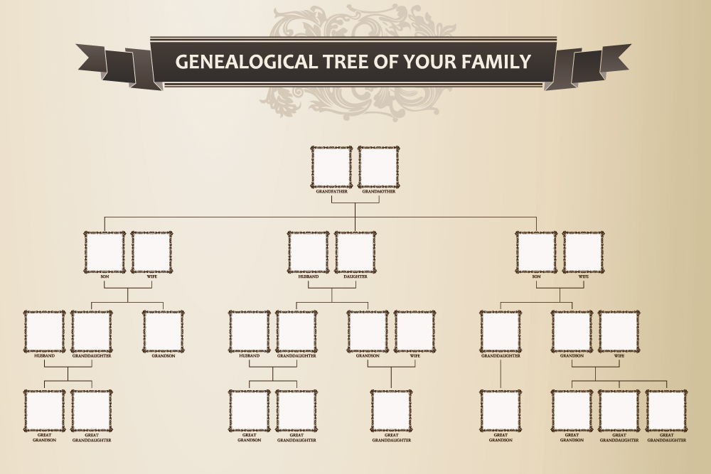 A blank Family Tree diagram