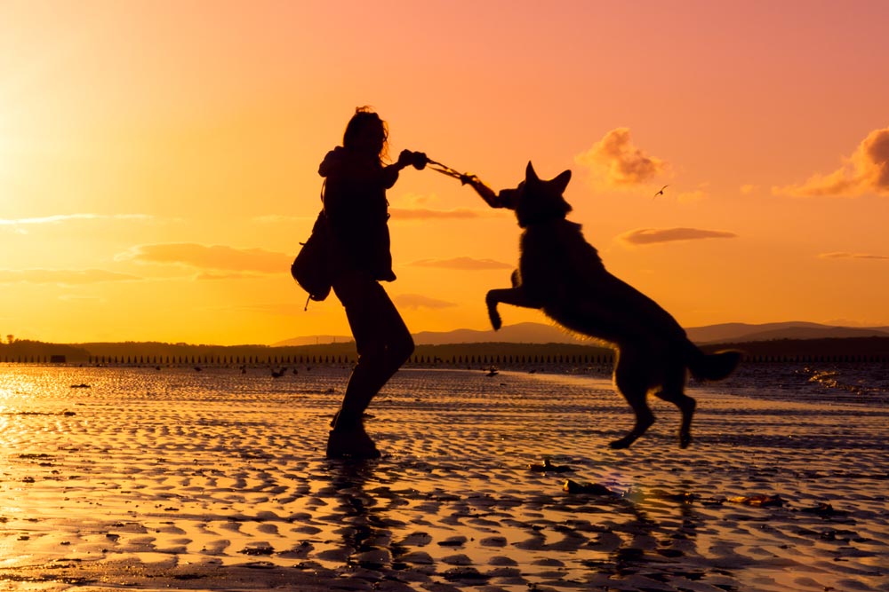 Woman playing with dog on a beach in Scotland