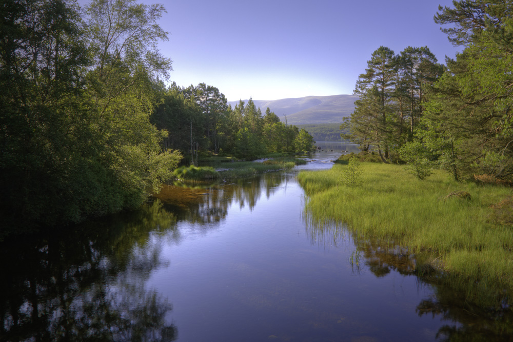 River Luineag flowing into Loch Morlich