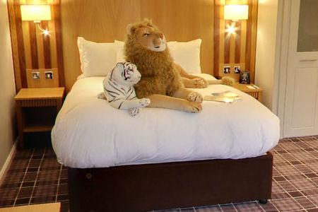 Toy tiger and leopard on a bed at Kingsmills Hotel