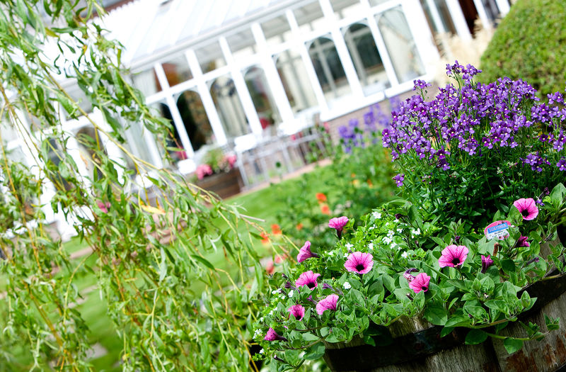 Beautiful flowers by a conservatory at Kingsmills Hotel, Inverness