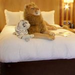 Large stiffed lion and tiger on a double bed in a Luxury Family Room in Kingsmills Hotel