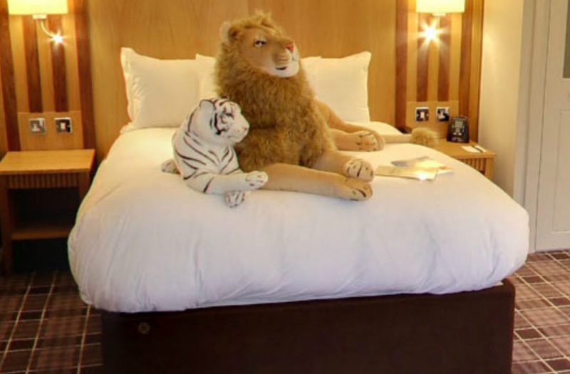 Large stiffed lion and tiger on a double bed in a Luxury Family Room in Kingsmills Hotel