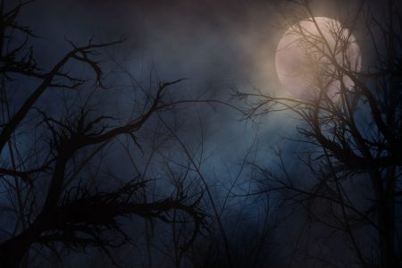 A spooky moonlit night