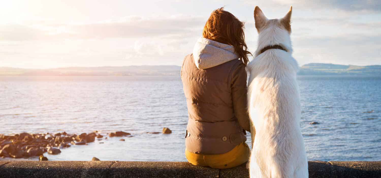places to visit in scotland with a dog
