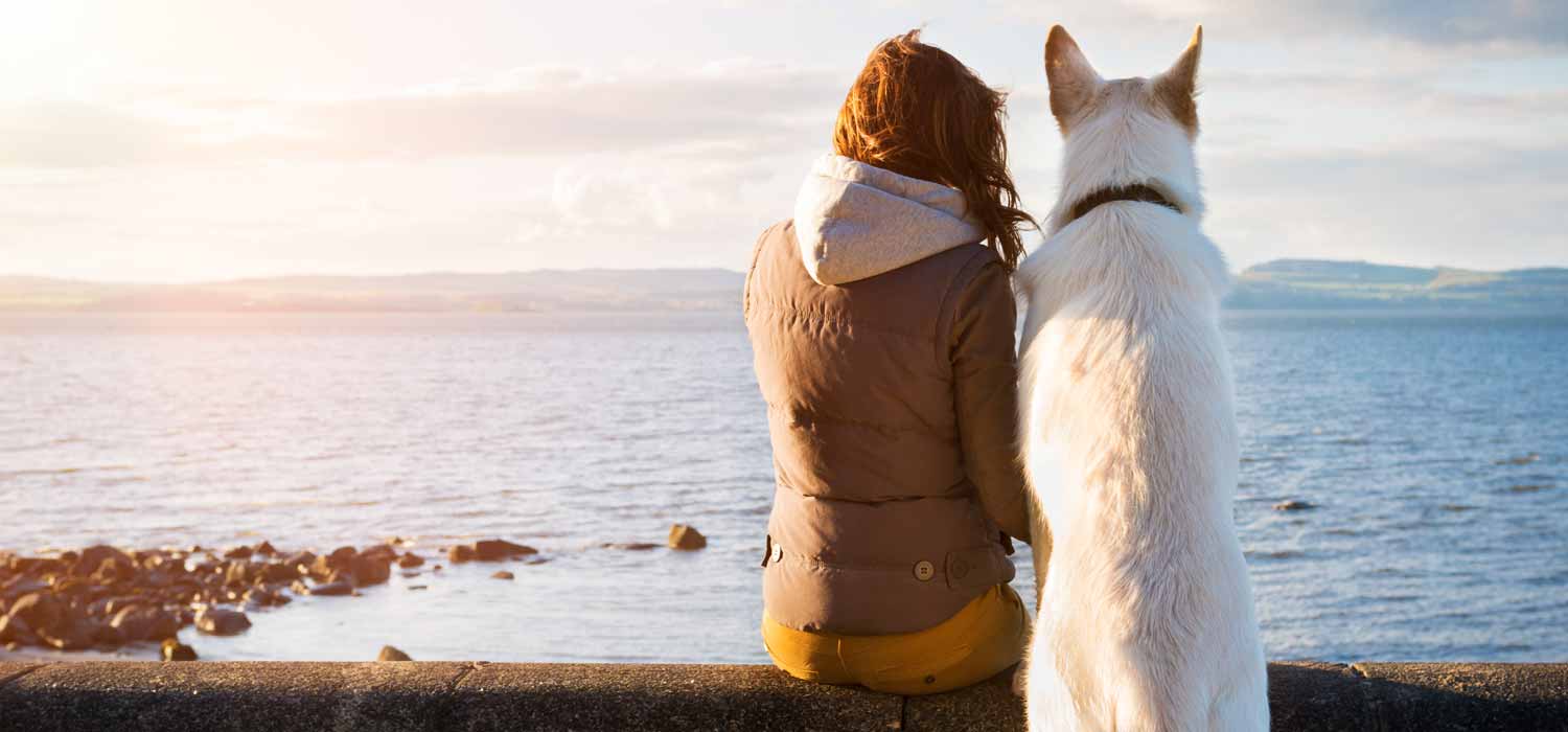 Travelling in Scotland with your Dog Kingsmills Hotel