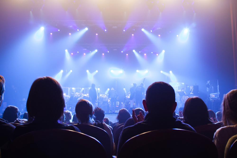 Audience watching a show at the theatre