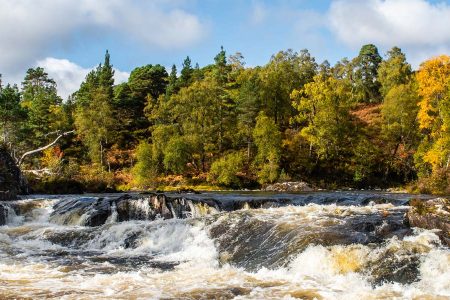 Glen Affric landscape with trees and water rapids