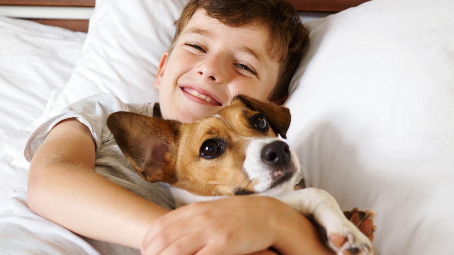 DogFriendly Hotel in Inverness, Scotland Kingsmills Hotel