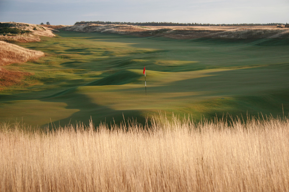 14th hole at Castle Stuart Golf Links