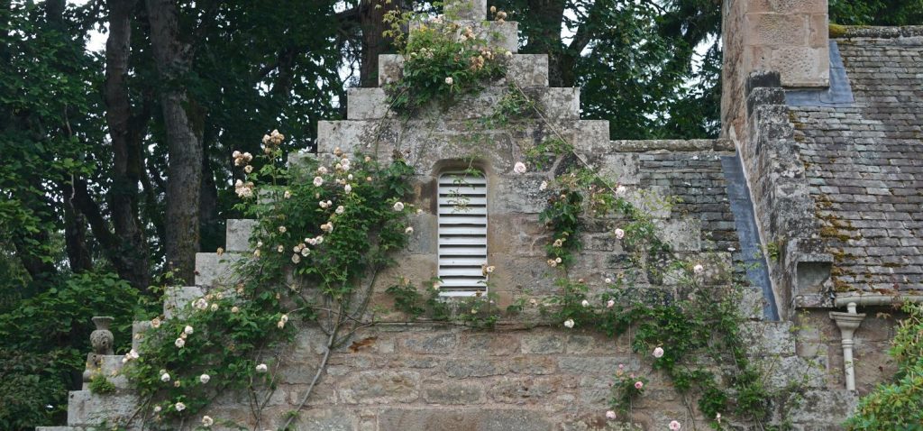 A gorgeous close up of a castle window