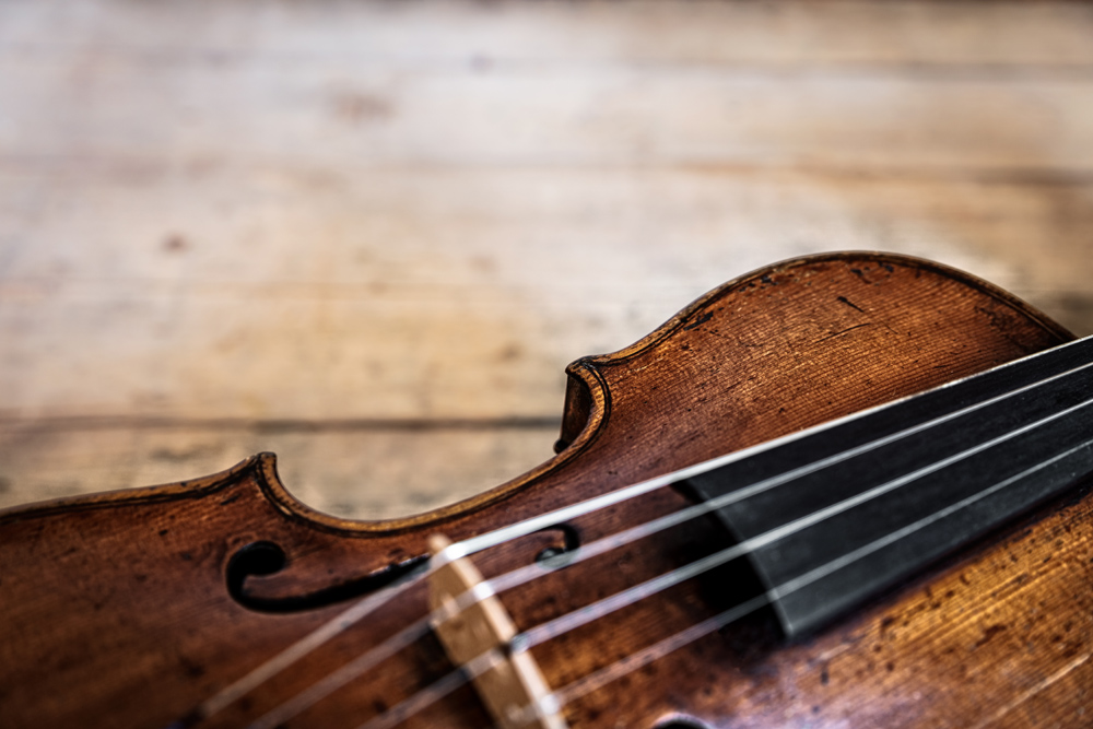 Close up of a fiddle laid on a wooden floor