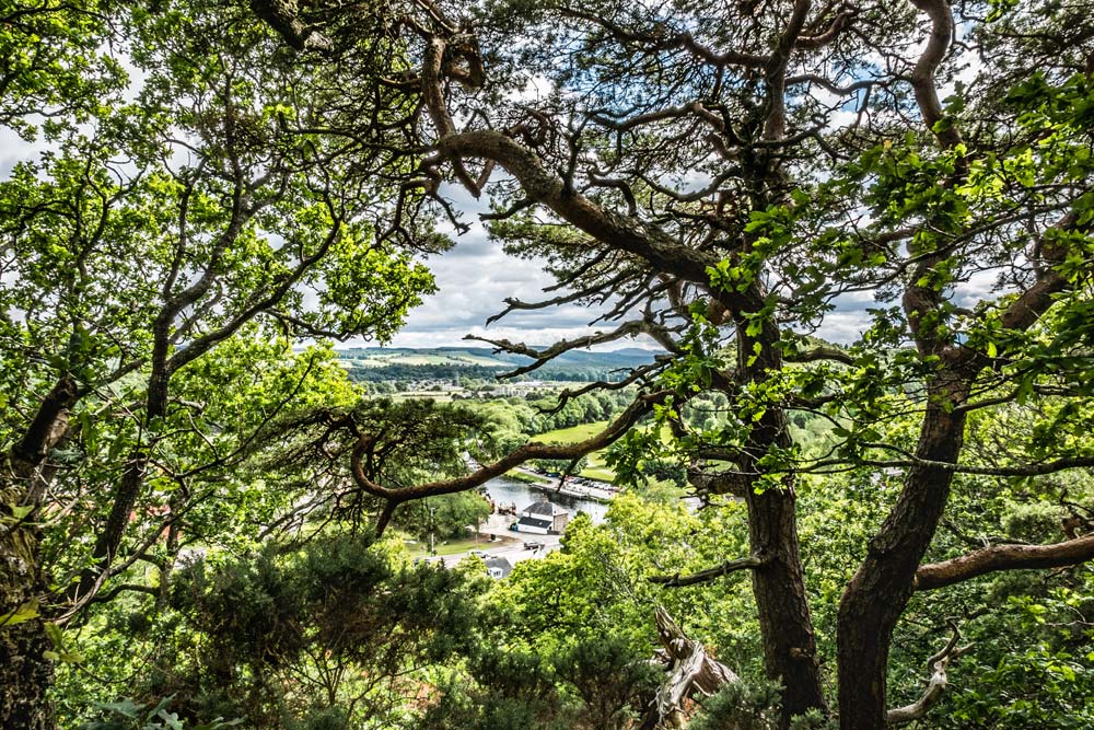 View from Tomnahurich Hill near Inverness
