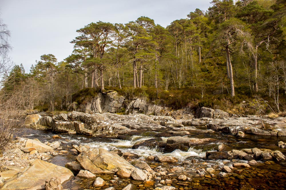 The River Affric flowing through Glen Affric