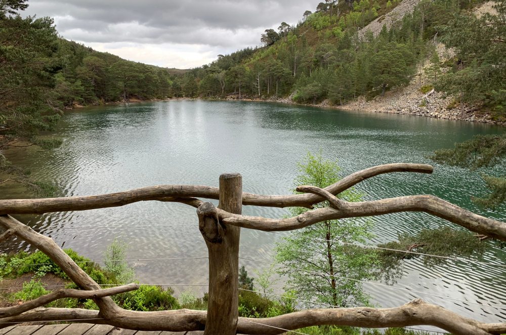 Looking out to An Lochan Uaine, The Green Loch from a stick bridge