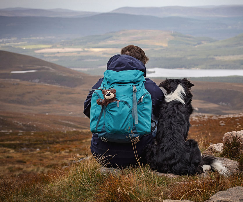 with back to us, a dog and owner sit in the Cairngorm National Park