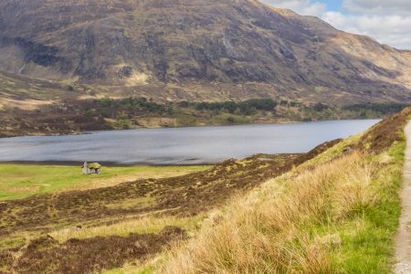 A walker on a path in Glen Affric, Scotland