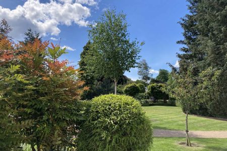 Shrubs and trees in The Kingsmills Gardens with a view of the manicured lawns