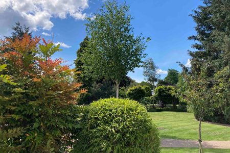 Kingsmills Gardens