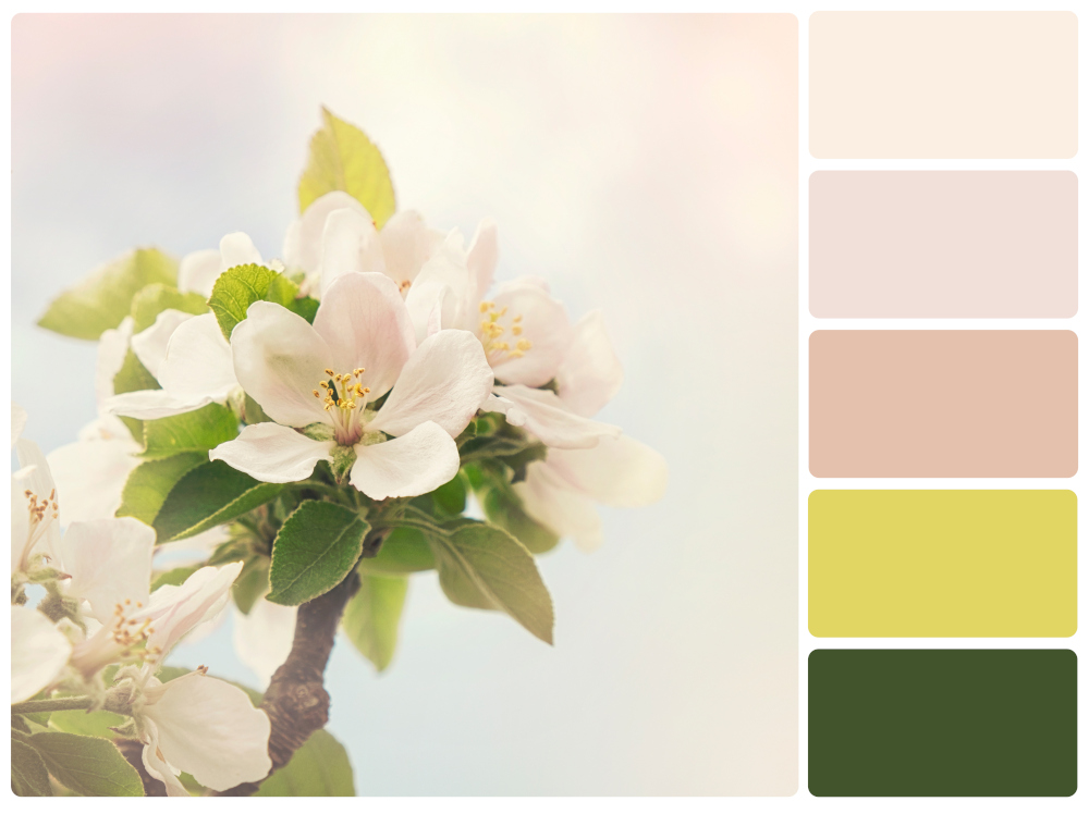 A spring blossom and colour swatches