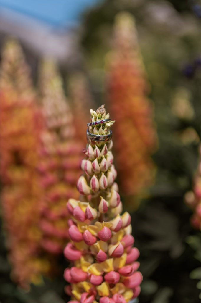 Wedding ring on flowers in garden credit Magic Moments Photography