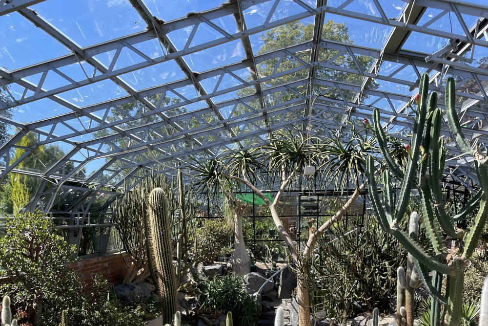 Cactus House at Inverness Botanic Gardens