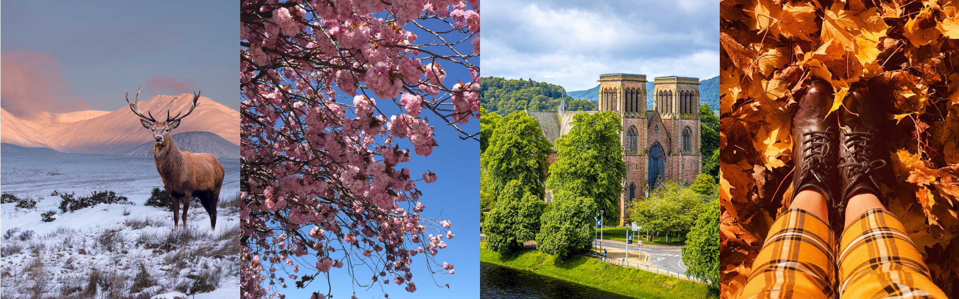 Things to do in Spring, Summer, Autumn, Winter | Kingsmills Hotel