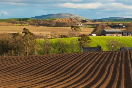 Scottish Farm growing organic produce