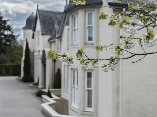 1533640557Exteriorblossom 1533640557Exteriorblossom