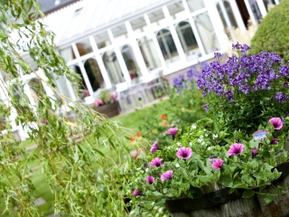 1533641365GardenPatio 1533641365GardenPatio