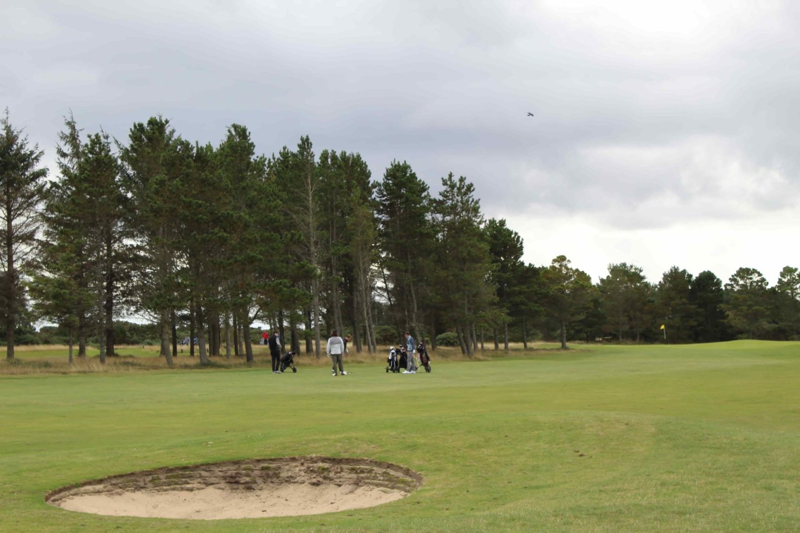 Royal Dornoch Struie Course Royal Dornoch Struie Course